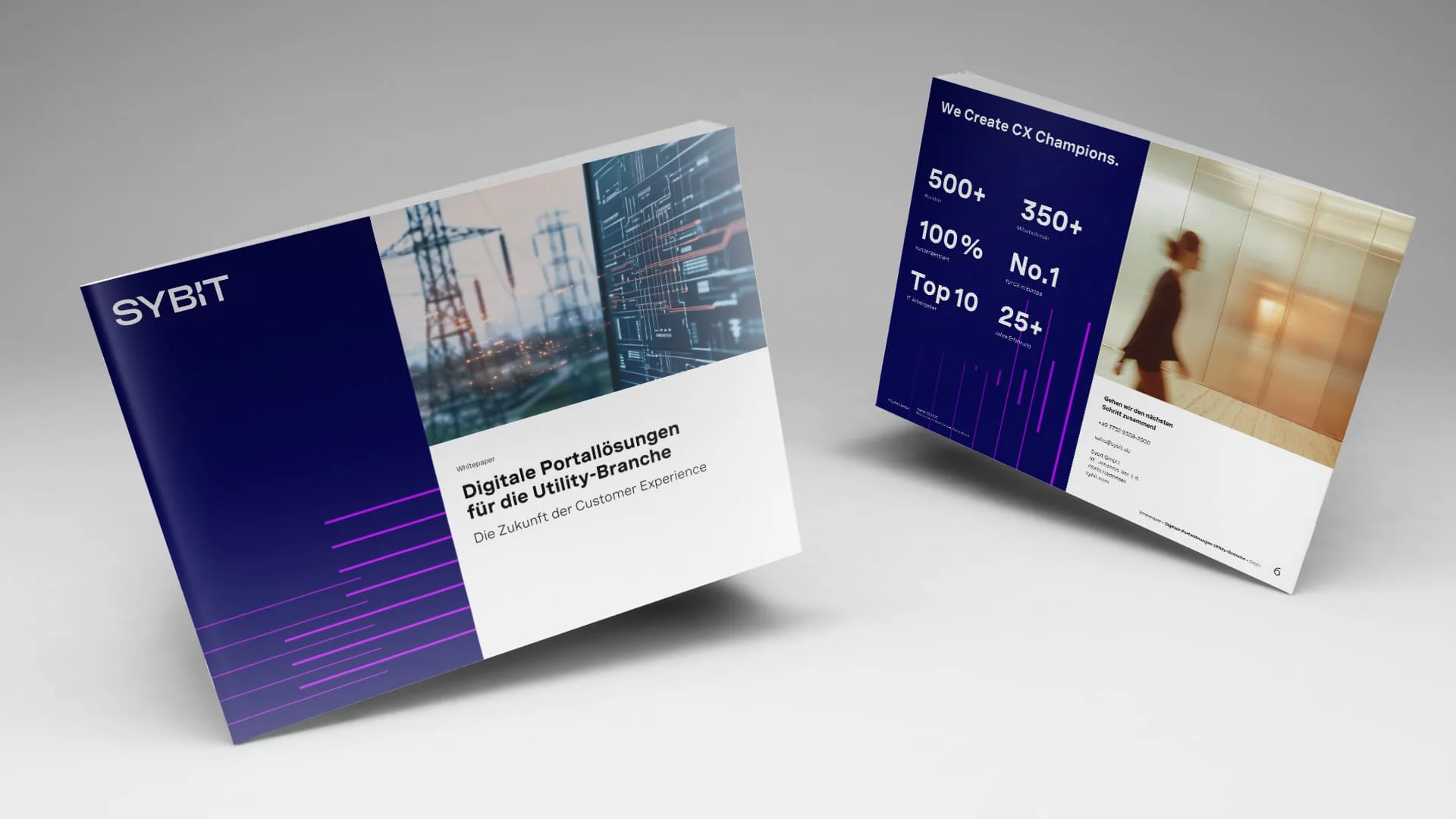 Whitepaper: Digitale Portale für Energieversorger