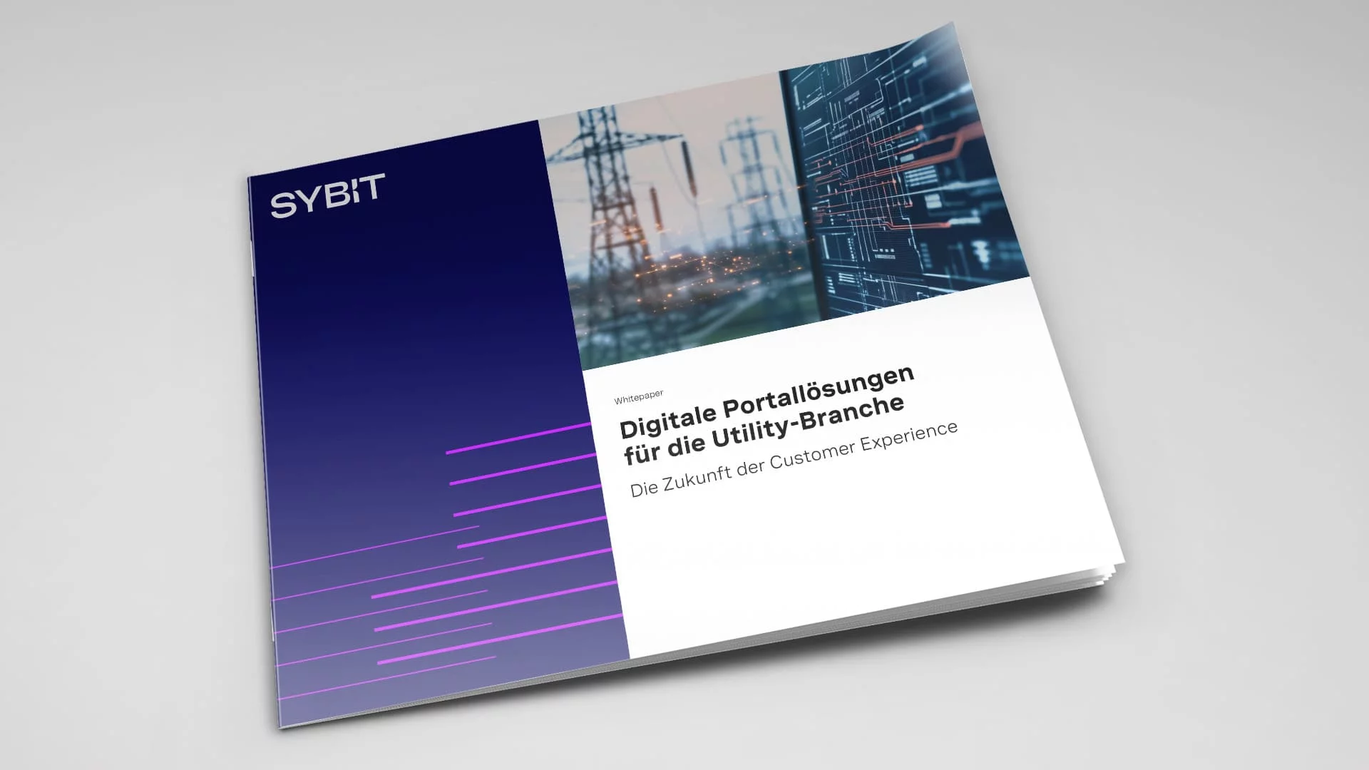 Whitepaper: Digitale Portale für Energieversorger
