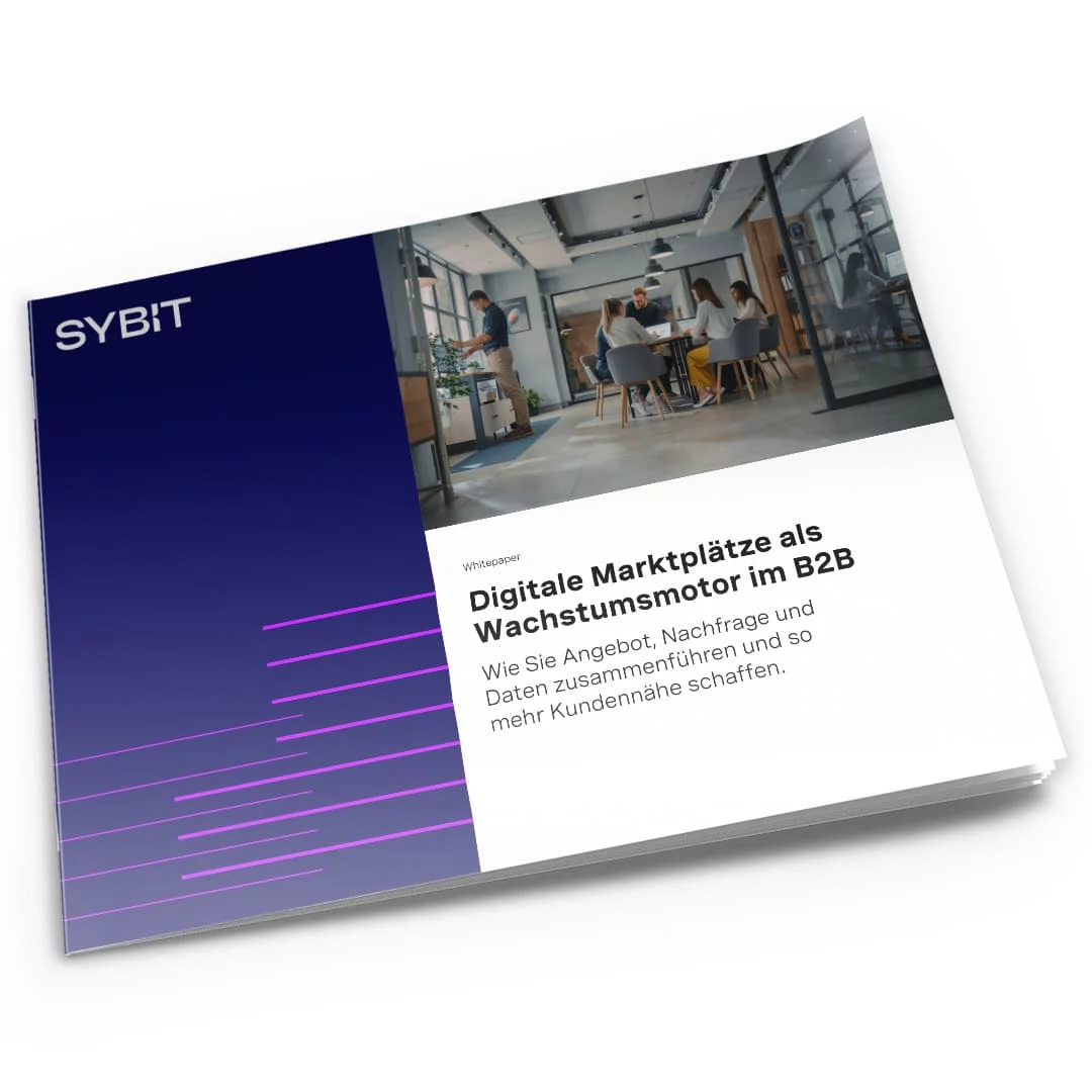 Wie Plattformmodelle das B2B-Geschäft nachhaltig verändern