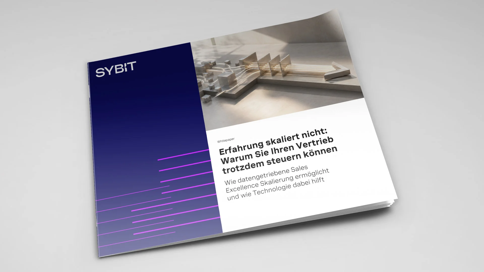 Whitepaper: Data-driven Sales Excellence