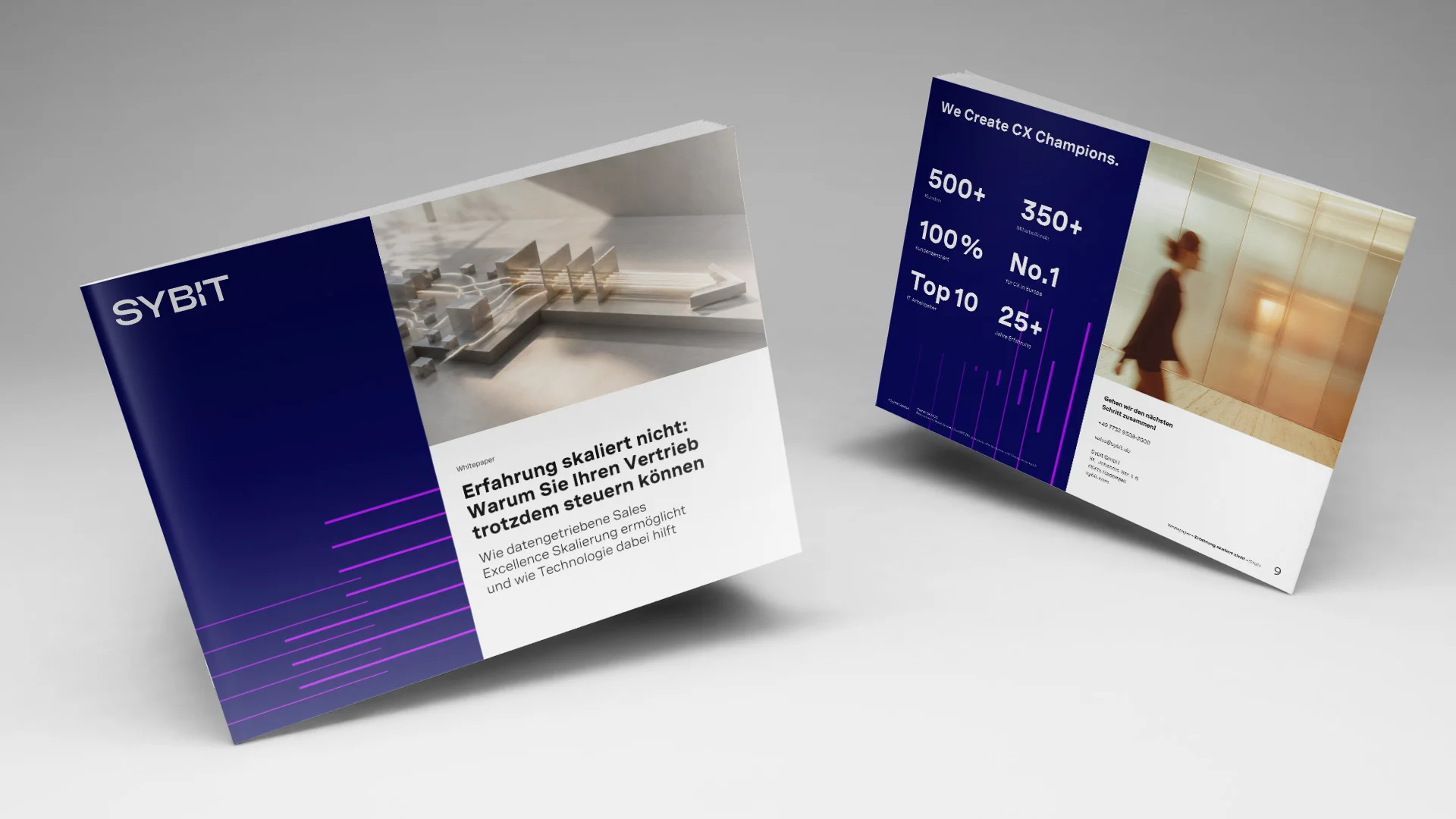 Whitepaper: Data-driven Sales Excellence