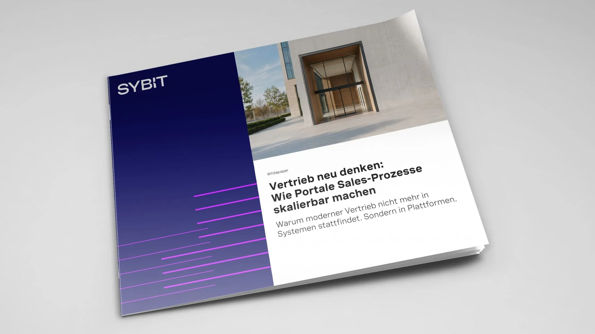 Whitepaper Sales Portale