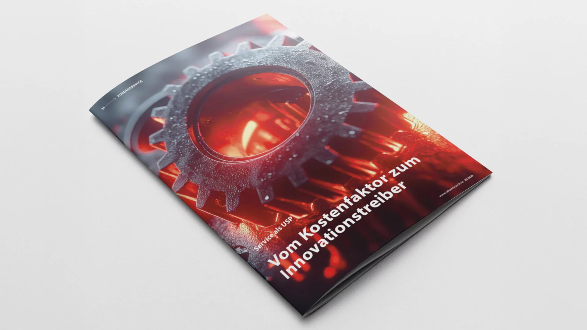 Whitepaper Service als USP