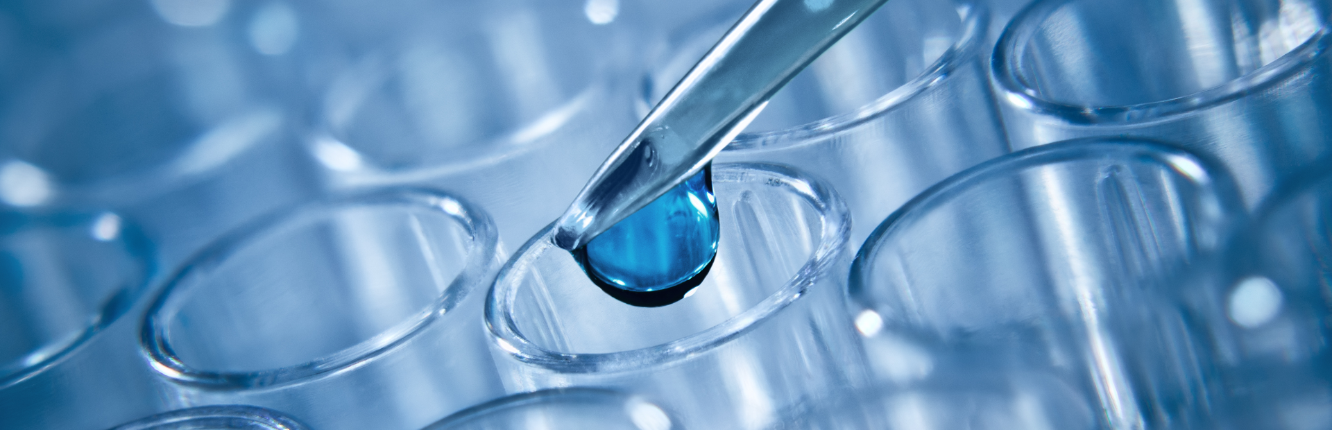 Success Story: Clariants Erfahrungen mit SAP