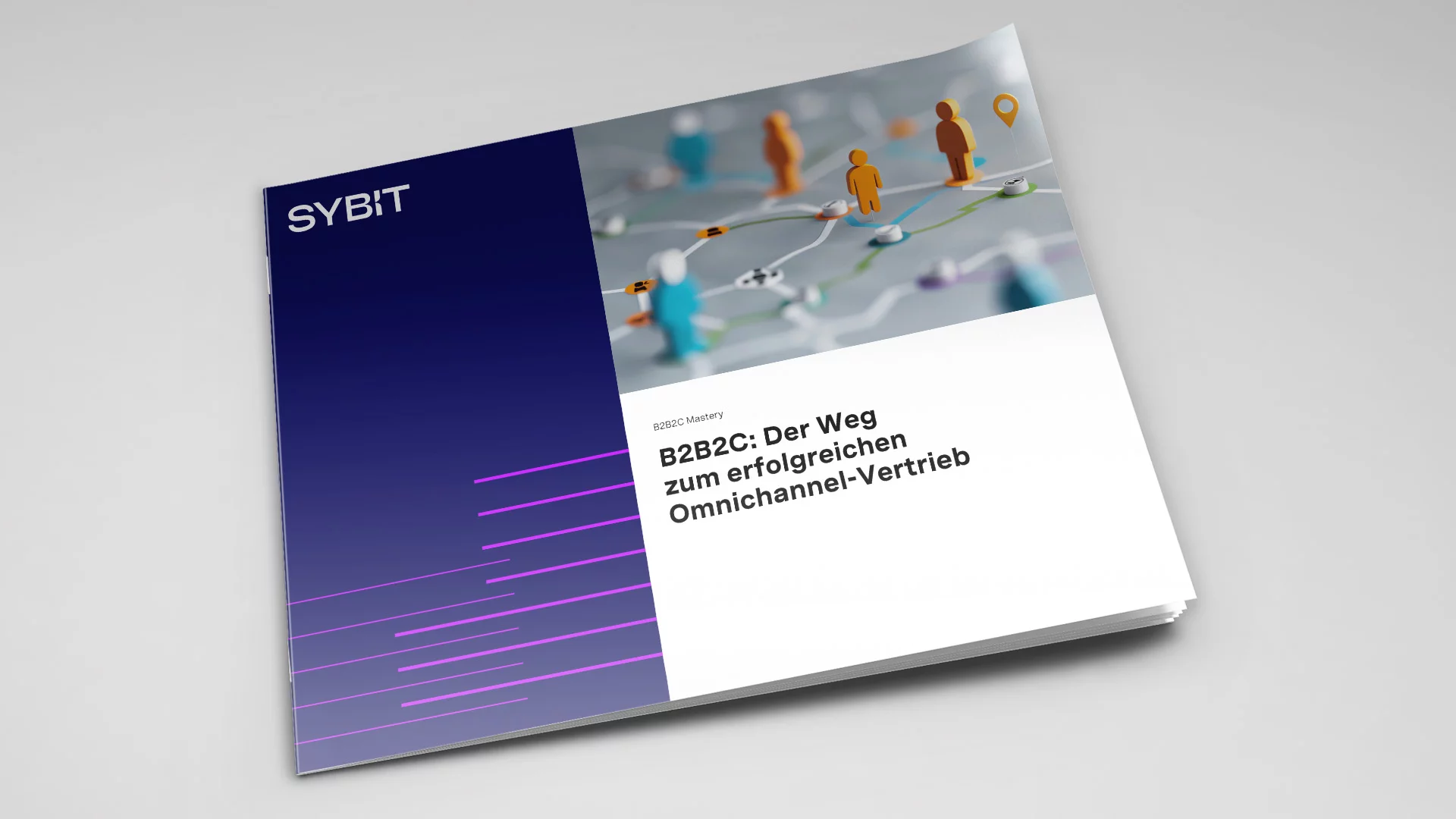 Starten Sie mit SYBIT in ihr B2B2C-Modell 