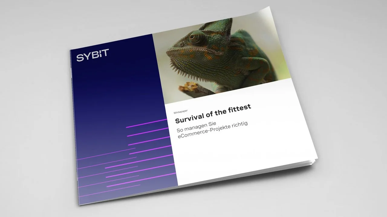Whitepaper: eCommerce-Projekte richtig managen